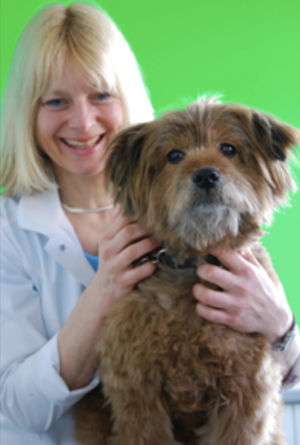 Tierarztpraxis Ulm Dr. Angelika Schäuffelen